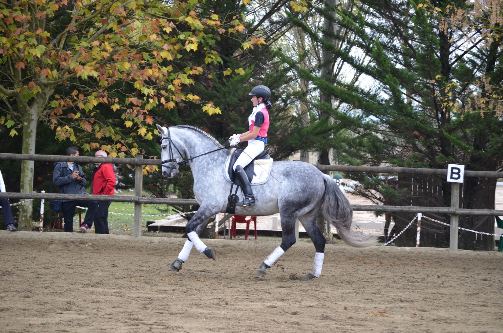Resultados Finales Campeonato Navarro de Doma Clásica 2015